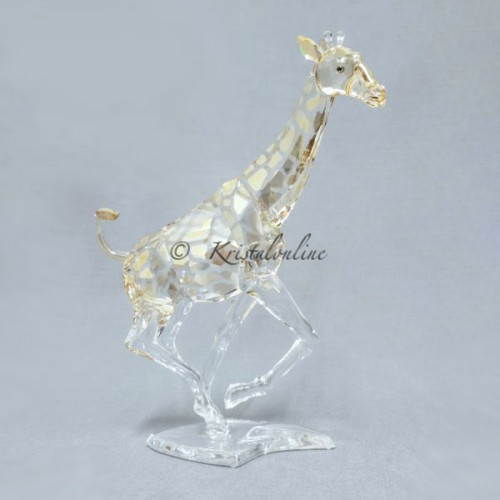 Giraffe 2008 - without box cover